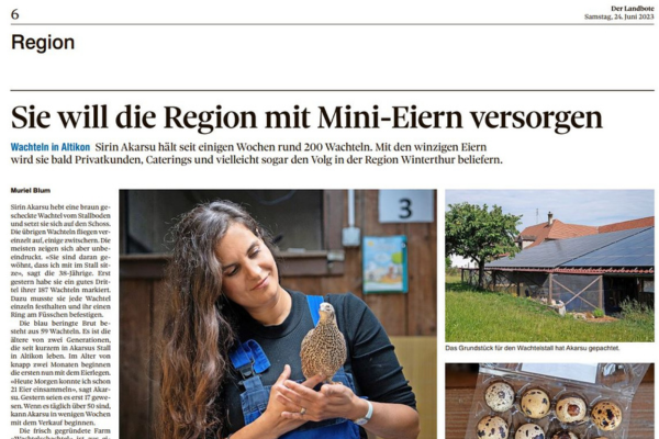 Landbote Artikel über Wachtel Schachtel