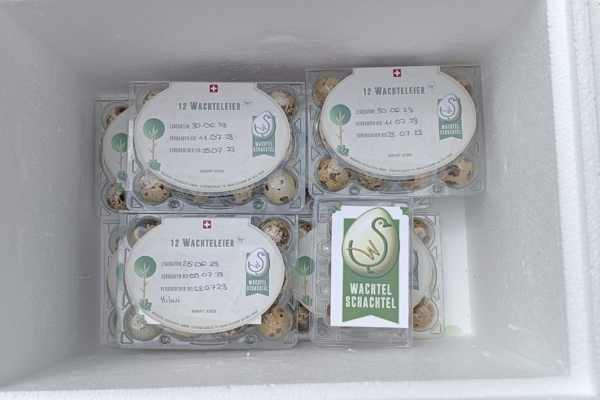 Wachteleier für die Auslieferung verpackt und etikettiert