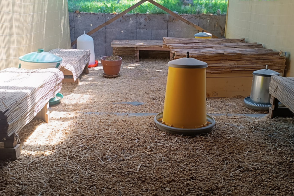 Wachtelstall grosszügig gestaltet